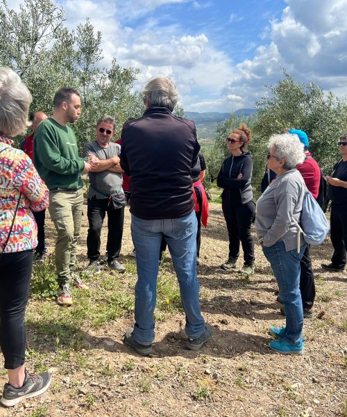 20c728cd-1ede-4503-9627-1dfe6b0f2a10